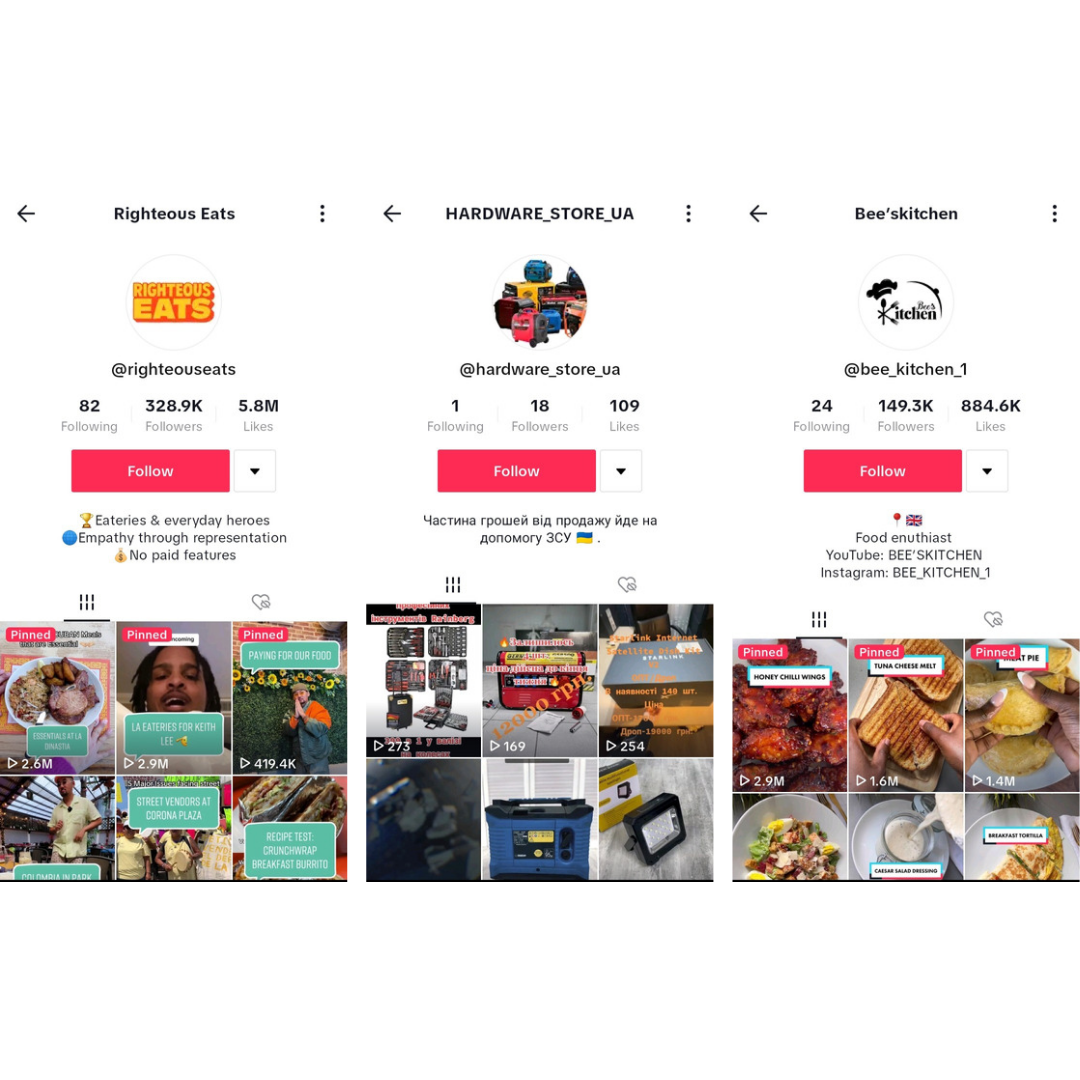 TikTok interface example